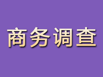 温宿商务调查